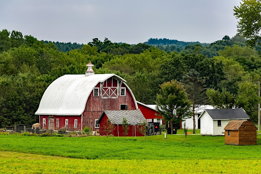 A picture of a big red barn surrounded by lush fields and trees.
