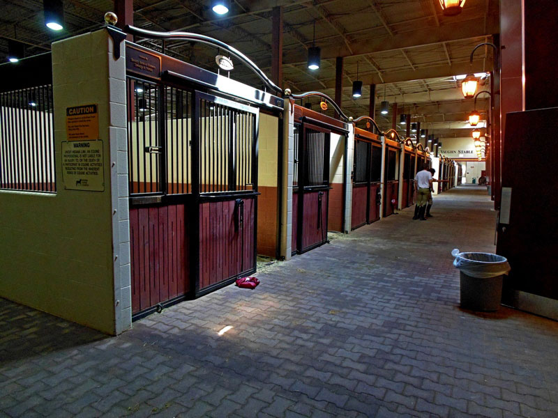 luxury horse barns